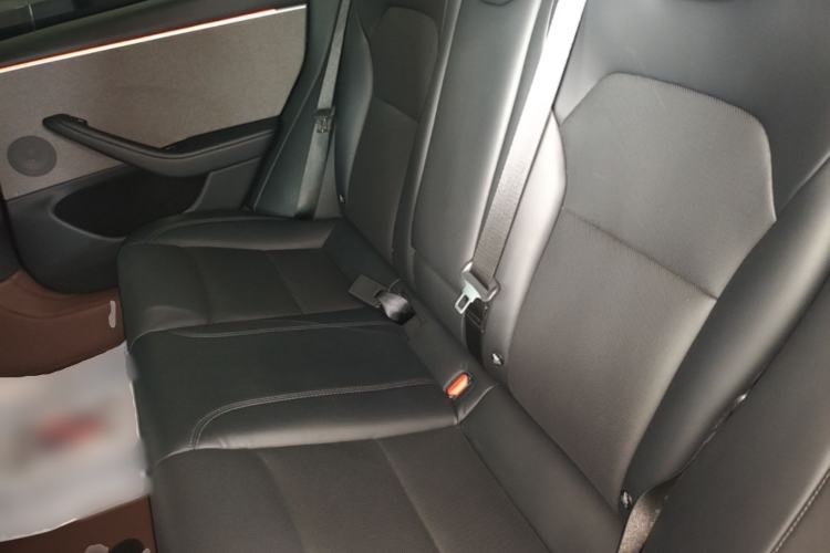 Used Tesla Model 3 2023 Rear-Wheel-Drive Version Left Rear Seat