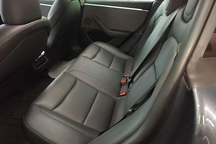 Used Tesla Model 3 2023 Rear-Wheel-Drive Version Left Rear Seat