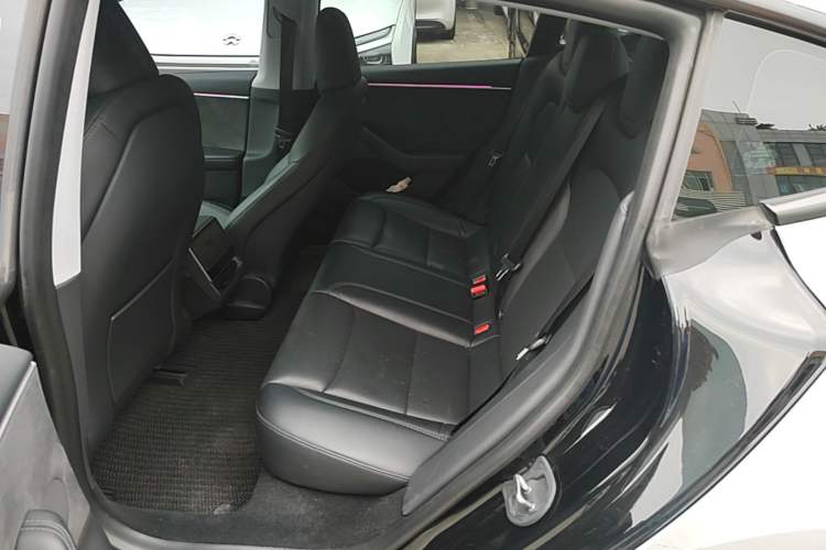 Used Tesla Model 3 2023 Long-Range All-Wheel-Drive Version Left Rear Seat