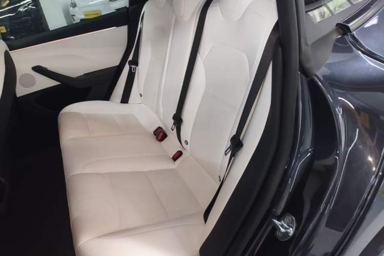 Used Tesla Model 3 2023 Long-Range All-Wheel-Drive Version Left Rear Seat