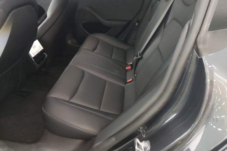 Used Tesla Model 3 2023 Long-Range All-Wheel-Drive Version Left Rear Seat