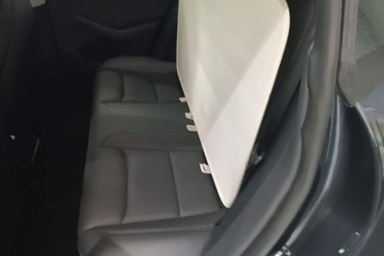Used Tesla Model 3 2023 Long-Range All-Wheel-Drive Version Left Rear Seat