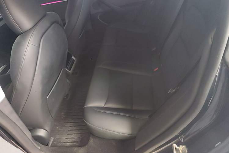Used Tesla Model 3 2023 Rear-Wheel-Drive Version Left Rear Seat