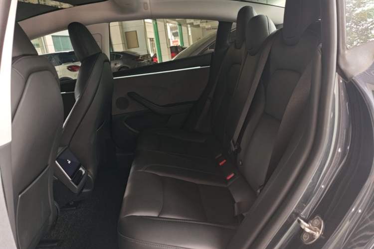 Used Tesla Model 3 2023 Rear-Wheel-Drive Version Left Rear Seat