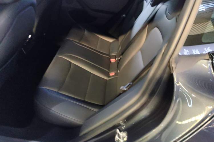 Used Tesla Model 3 2023 Rear-Wheel-Drive Version Left Rear Seat