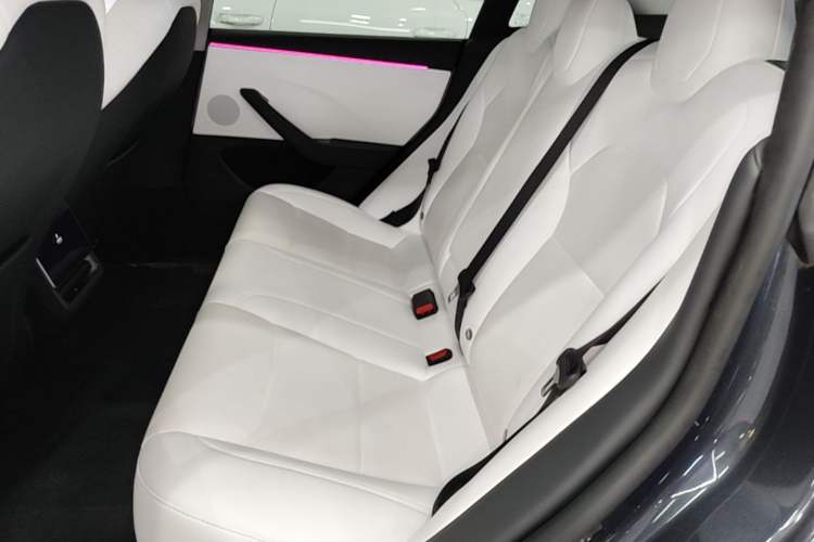 Used Tesla Model 3 2023 Rear-Wheel-Drive Version Left Rear Seat