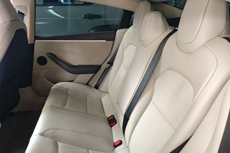 Used Tesla Model 3 2023 Long-Range All-Wheel-Drive Version Left Rear Seat