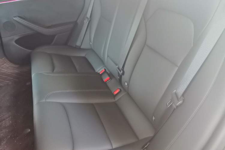 Used Tesla Model 3 2023 Long-Range All-Wheel-Drive Version Left Rear Seat