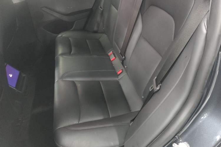 Used Tesla Model 3 2023 Rear-Wheel-Drive Version Left Rear Seat