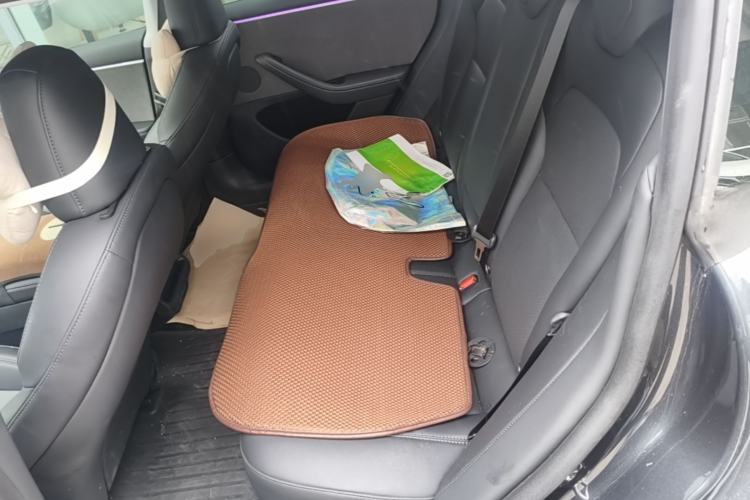 Used Tesla Model 3 2023 Rear-Wheel-Drive Version Left Rear Seat