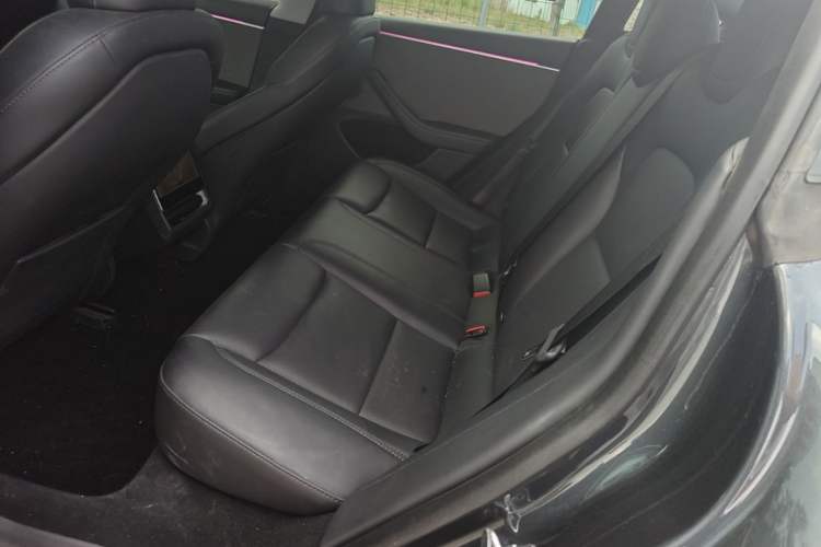 Used Tesla Model 3 2023 Rear-Wheel-Drive Version Left Rear Seat