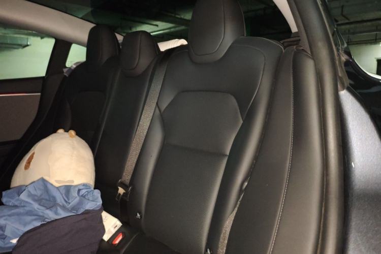 Used Tesla Model 3 2023 Rear-Wheel-Drive Version Left Rear Seat