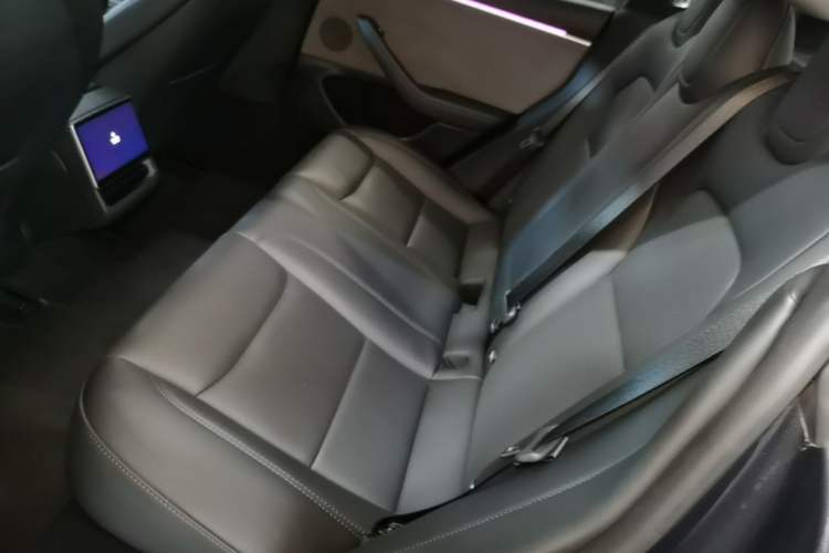 Used Tesla Model 3 2023 Rear-Wheel-Drive Version Left Rear Seat