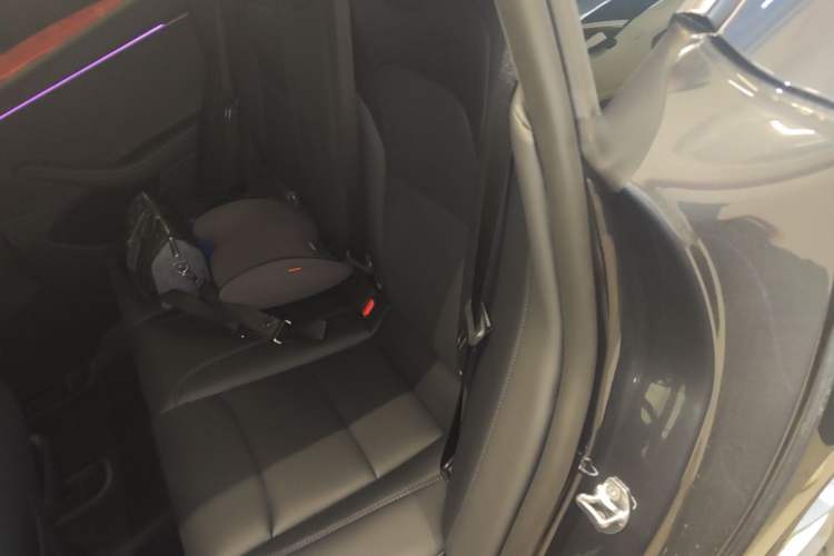 Used Tesla Model 3 2023 Long-Range All-Wheel-Drive Version Left Rear Seat