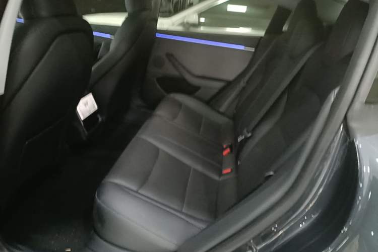 Used Tesla Model 3 2023 Rear-Wheel-Drive Version Left Rear Seat