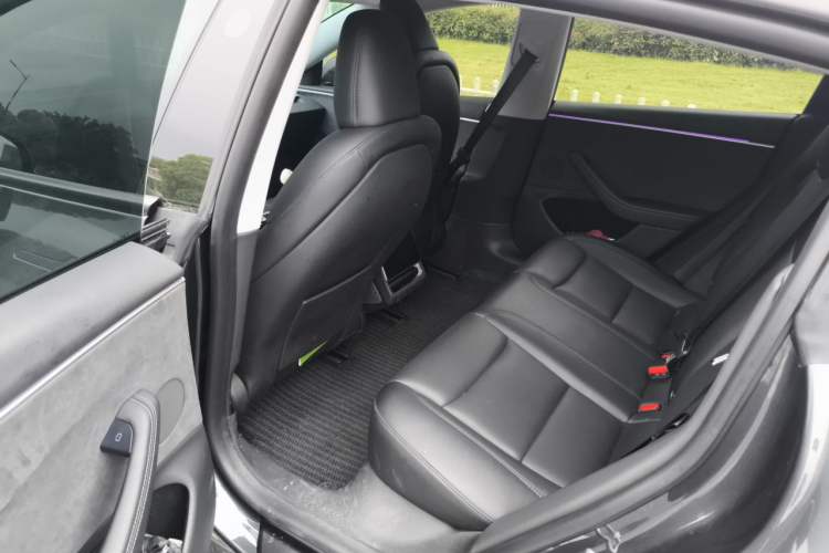 Used Tesla Model 3 2023 Long-Range All-Wheel-Drive Version Left Rear Seat