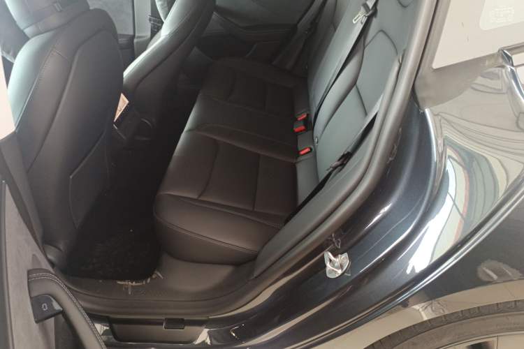 Used Tesla Model 3 2023 Long-Range All-Wheel-Drive Version Left Rear Seat