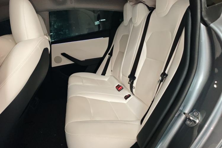 Used Tesla Model 3 2023 Rear-Wheel-Drive Version Left Rear Seat
