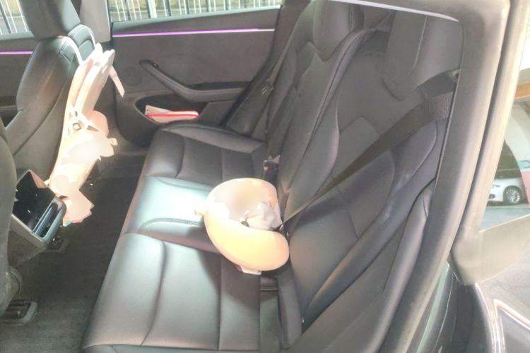 Used Tesla Model 3 2023 Long-Range All-Wheel-Drive Version Left Rear Seat