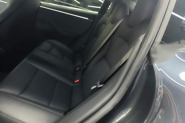 Used Tesla Model 3 2023 Rear-Wheel-Drive Version Left Rear Seat