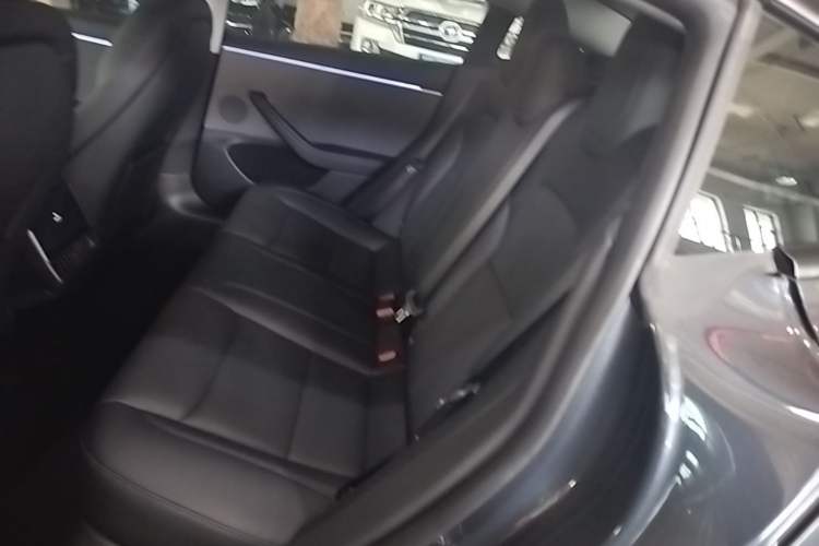 Used Tesla Model 3 2023 Rear-Wheel-Drive Version Left Rear Seat
