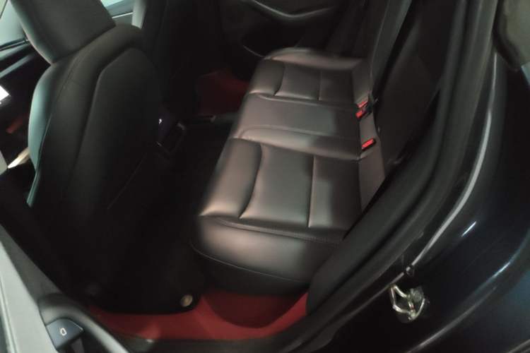 Used Tesla Model 3 2023 Rear-Wheel-Drive Version Left Rear Seat