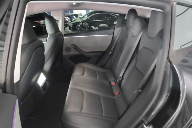 Used Tesla Model 3 2023 Rear-Wheel-Drive Version Left Rear Seat