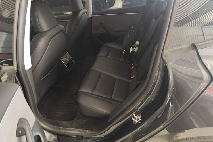 Used Tesla Model 3 2023 Rear-Wheel-Drive Version Left Rear Seat