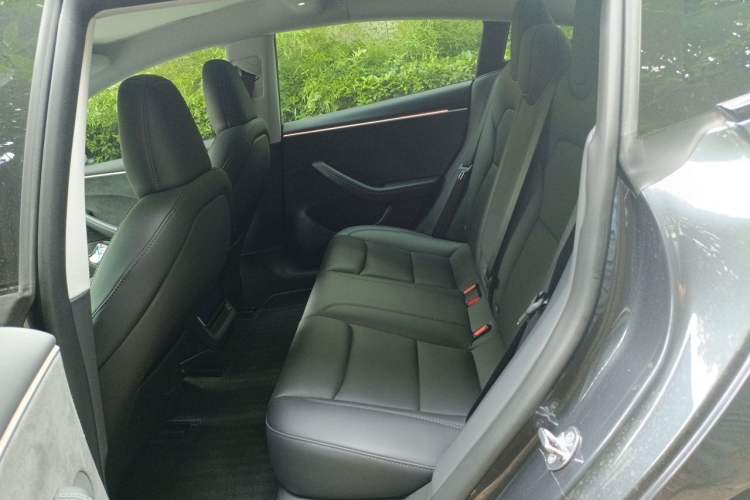Used Tesla Model 3 2023 Long-Range All-Wheel-Drive Version Left Rear Seat