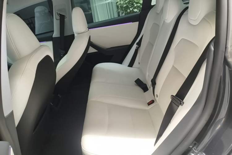 Used Tesla Model 3 2023 Long-Range All-Wheel-Drive Version Left Rear Seat