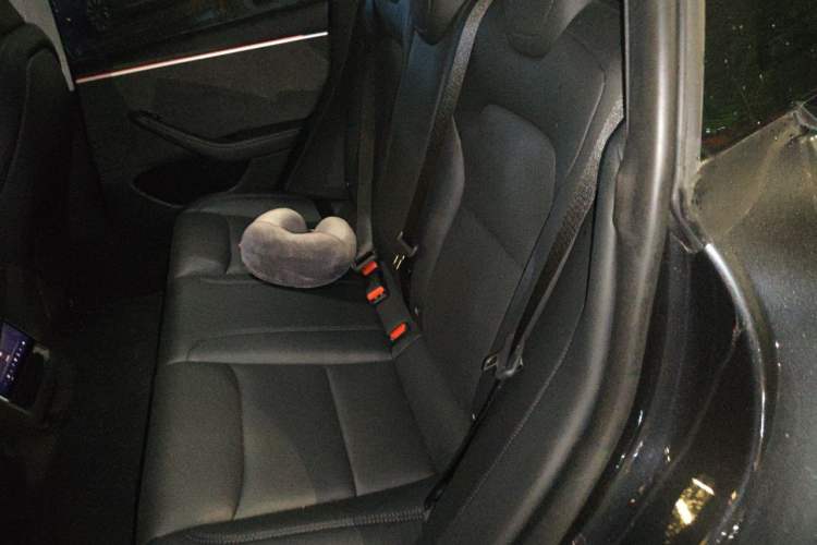Used Tesla Model 3 2023 Long-Range All-Wheel-Drive Version Left Rear Seat