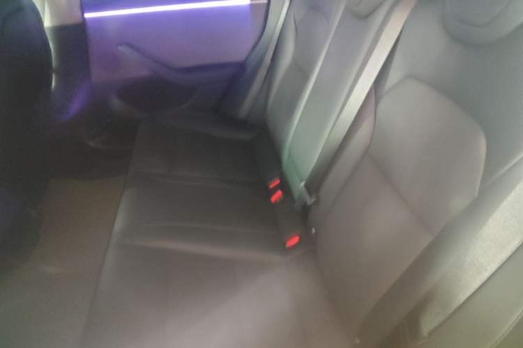 Used Tesla Model 3 2023 Rear-Wheel-Drive Version Left Rear Seat