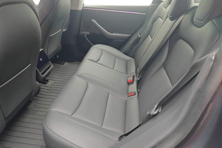 Used Tesla Model 3 2023 Long-Range All-Wheel-Drive Version Left Rear Seat