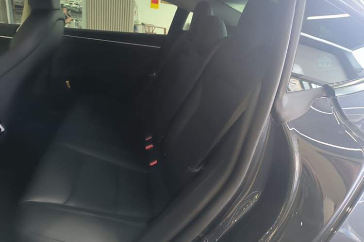 Used Tesla Model 3 2023 Long-Range All-Wheel-Drive Version Left Rear Seat