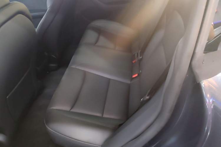 Used Tesla Model 3 2023 Long-Range All-Wheel-Drive Version Left Rear Seat