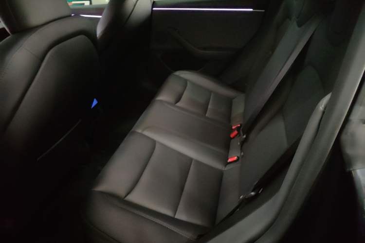 Used Tesla Model 3 2023 Rear-Wheel-Drive Version Left Rear Seat