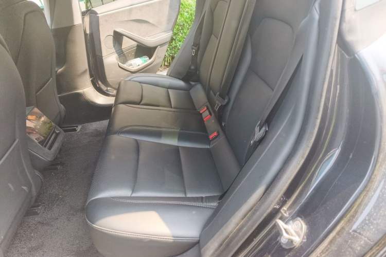 Used Tesla Model 3 2023 Long-Range All-Wheel-Drive Version Left Rear Seat