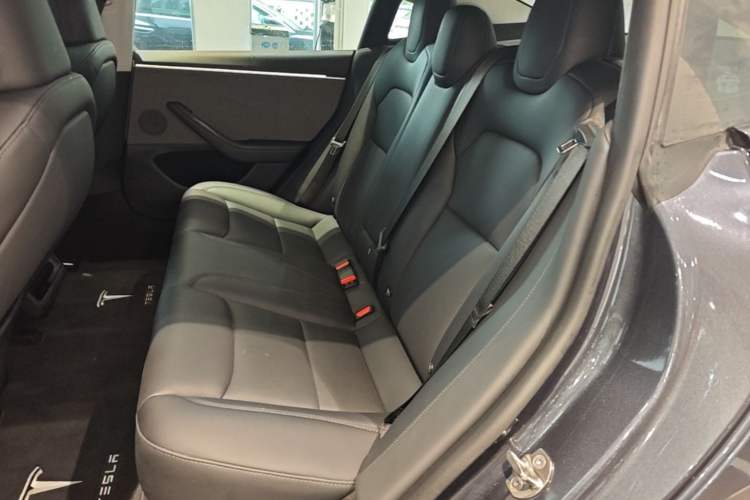 Used Tesla Model 3 2023 Rear-Wheel-Drive Version Left Rear Seat