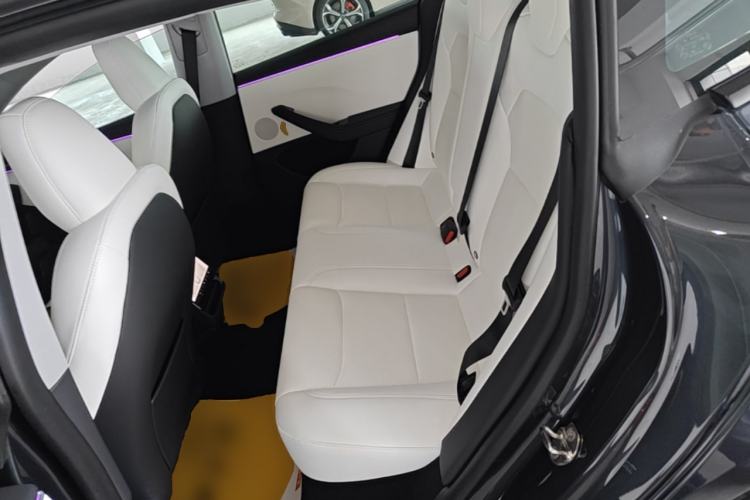 Used Tesla Model 3 2023 Long-Range All-Wheel-Drive Version Left Rear Seat