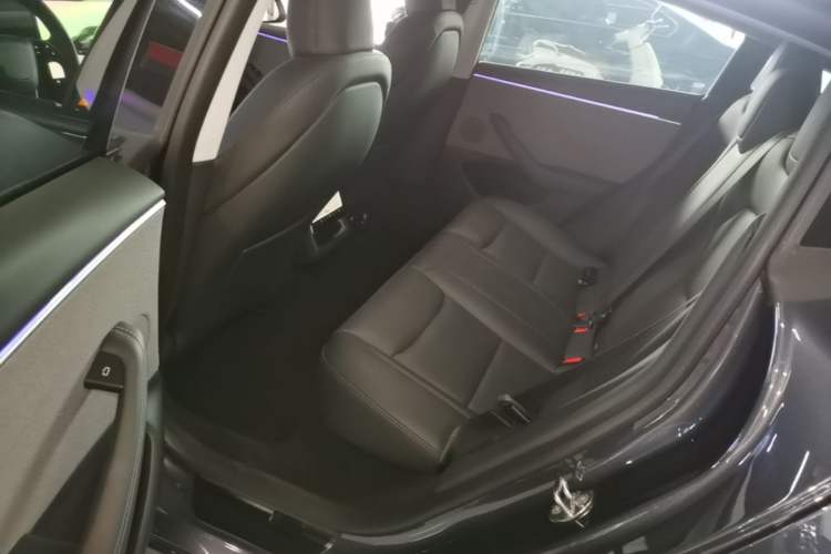 Used Tesla Model 3 2023 Rear-Wheel-Drive Version Left Rear Seat