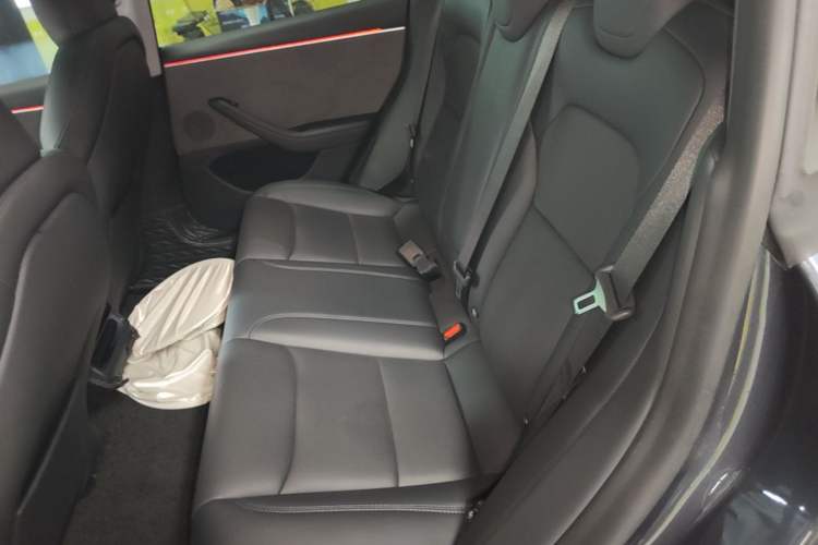 Used Tesla Model 3 2023 Rear-Wheel-Drive Version Left Rear Seat