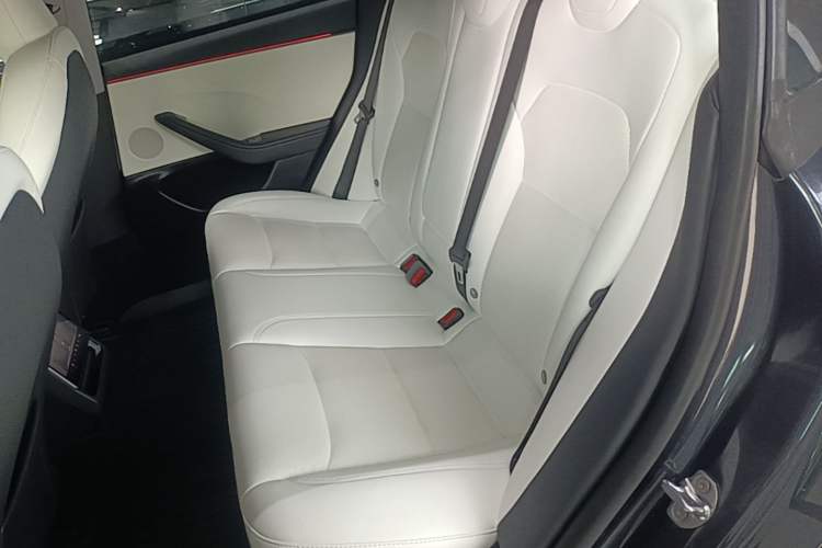 Used Tesla Model 3 2023 Long-Range All-Wheel-Drive Version Left Rear Seat
