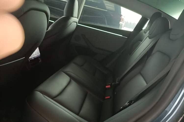 Used Tesla Model 3 2023 Rear-Wheel-Drive Version Left Rear Seat