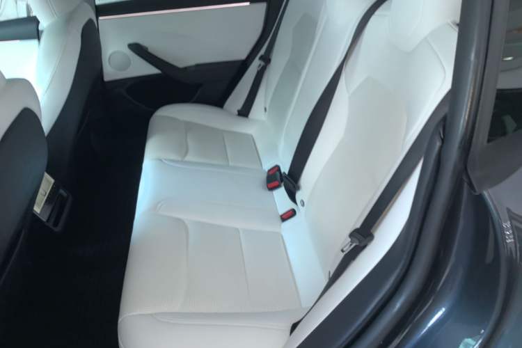 Used Tesla Model 3 2023 Rear-Wheel-Drive Version Left Rear Seat