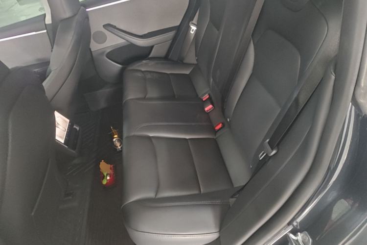 Used Tesla Model 3 2023 Rear-Wheel-Drive Version Left Rear Seat