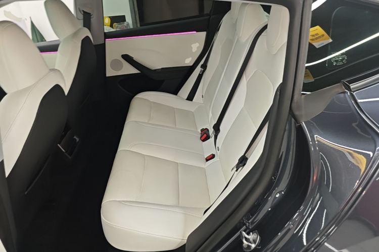 Used Tesla Model 3 2023 Long-Range All-Wheel-Drive Version Left Rear Seat