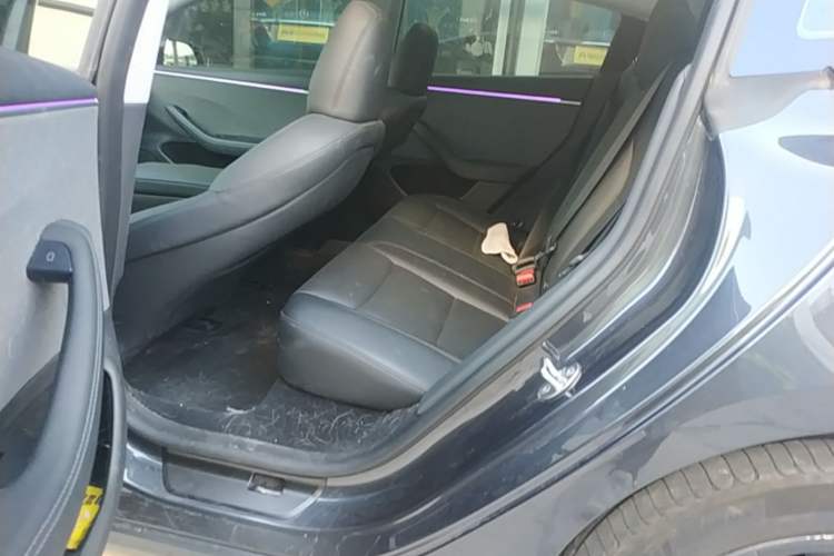 Used Tesla Model 3 2023 Rear-Wheel-Drive Version Left Rear Seat