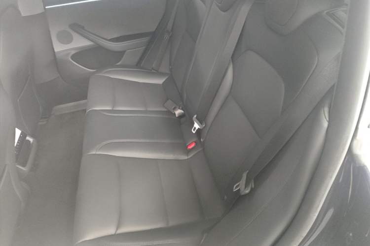 Used Tesla Model 3 2023 Rear-Wheel-Drive Version Left Rear Seat