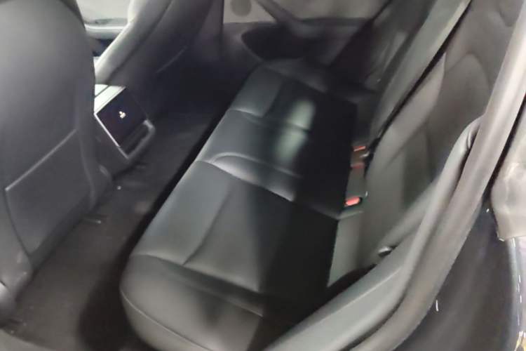 Used Tesla Model 3 2023 Rear-Wheel-Drive Version Left Rear Seat