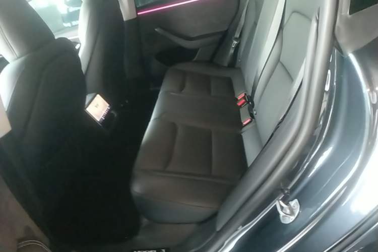 Used Tesla Model 3 2023 Long-Range All-Wheel-Drive Version Left Rear Seat